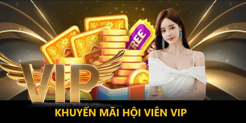 Chi tiết ưu đãi VIP
